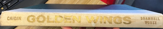 Golden Wings: A Pictorial History of the United States Navy and Marine Corps in the Air