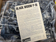 BLACK WIDOW P-61- 1/48 scale