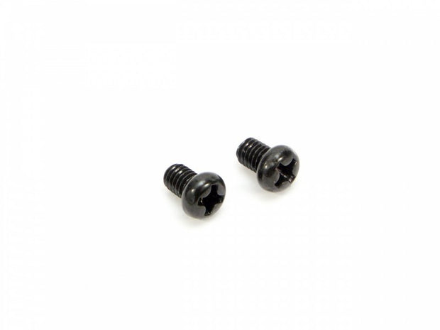 Screw Set (2pcs) (CARBURETOR)