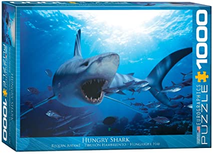 Hungry Shark (1000pc) puzzle