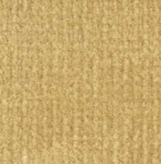 Carpet 12" x 14" Buff