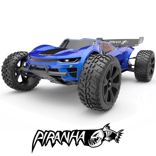 Piranha  1/10th scale Truggy