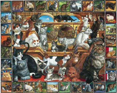 World Of Cats 1000pc Puzzle